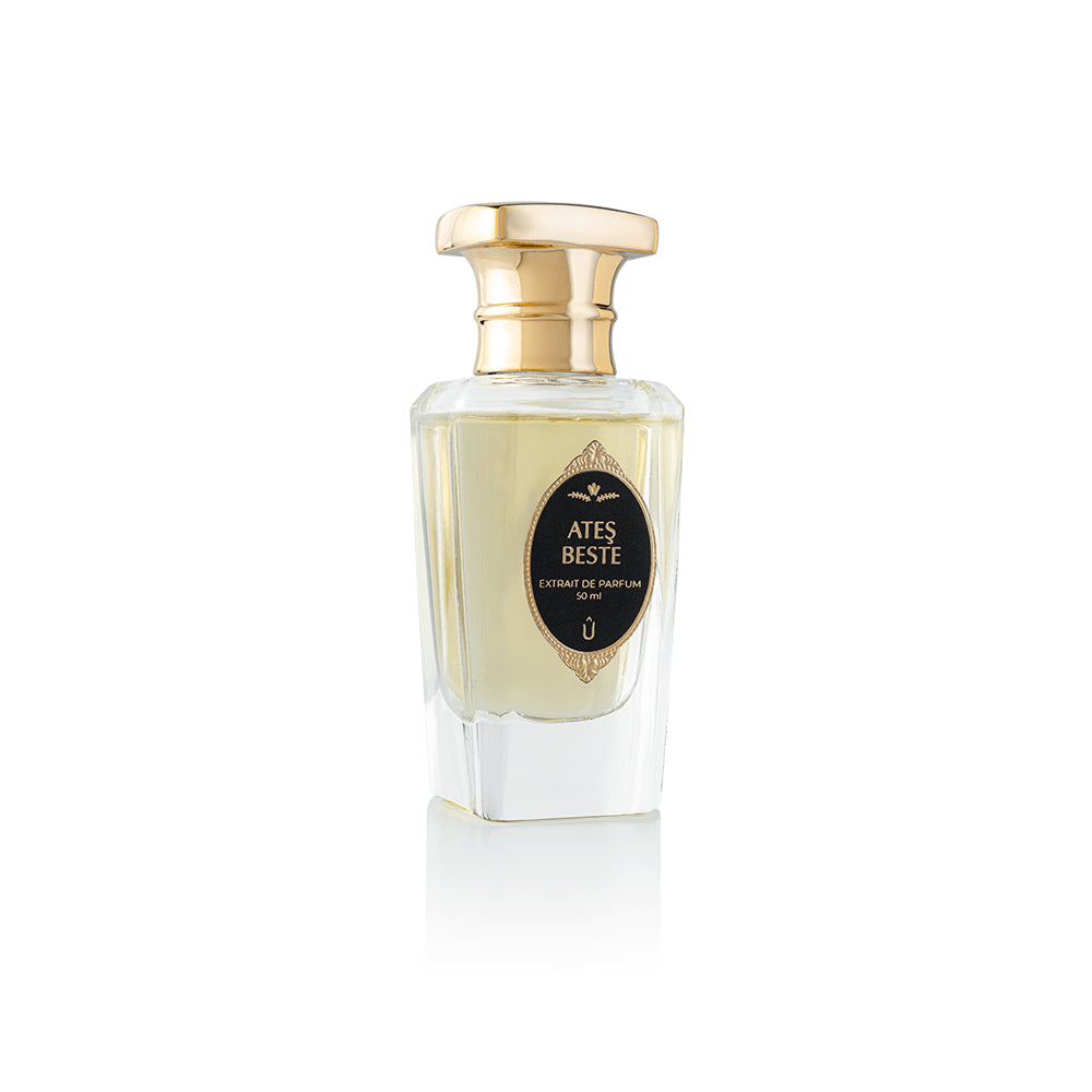 عطر أتيش بيستي بخاخ 50 مل