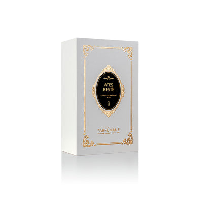 عطر أتيش بيستي بخاخ 50 مل